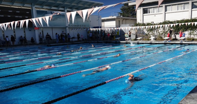 AlbanyTri-2018-swimmers